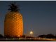The Big Pineapple