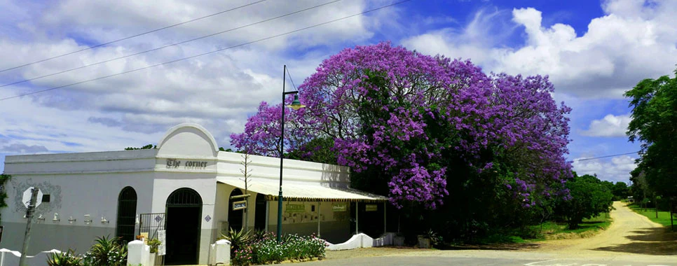 The Corner Gallery