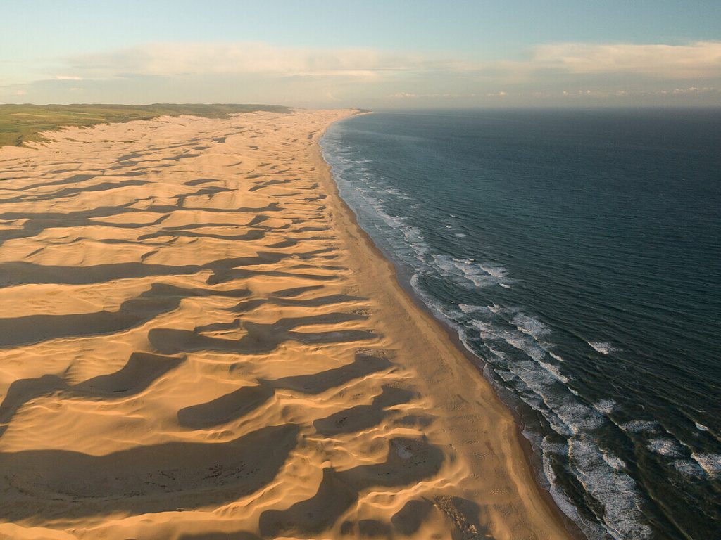 Addo Elephant Park Dunes