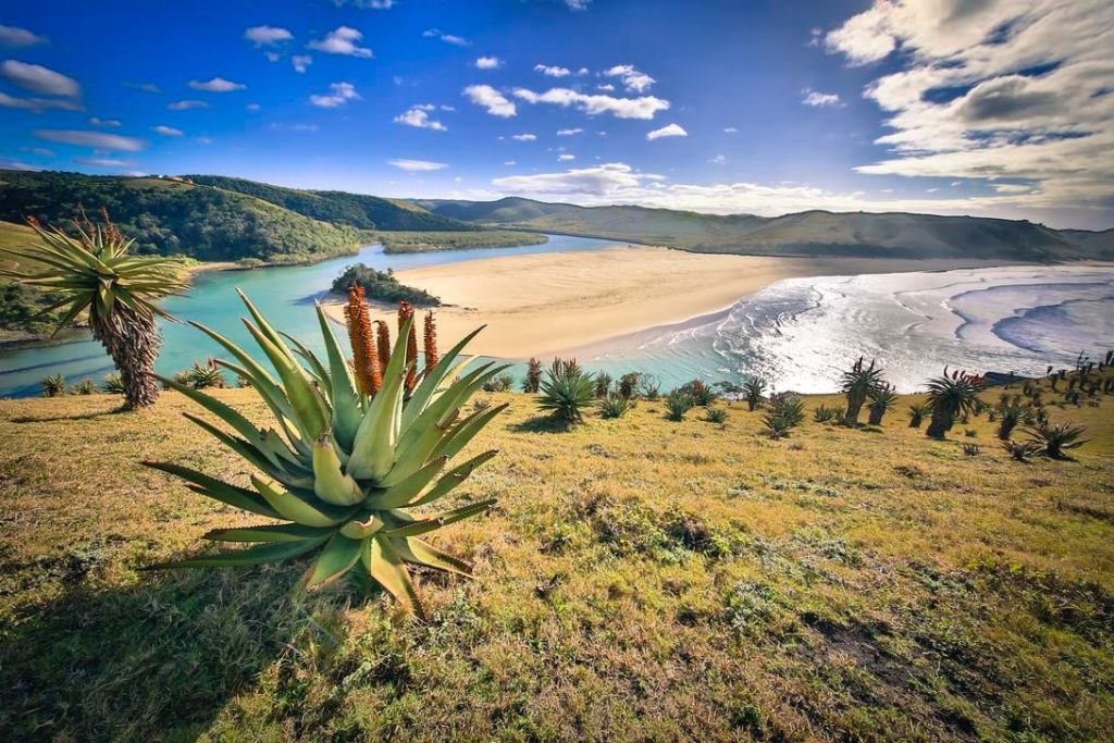 Eastern Cape Sea